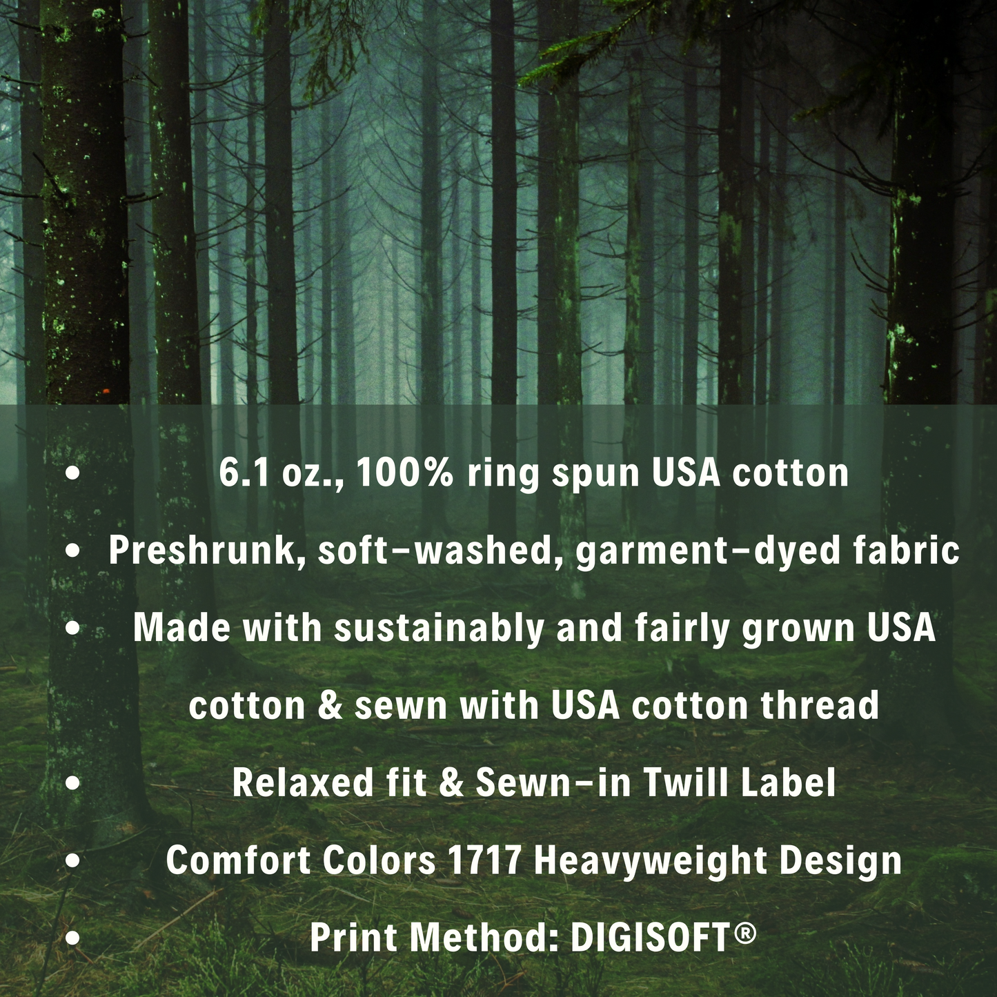 Sun Bear Heavyweight Medium Shades Garment-Dyed T-Shirt