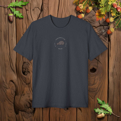 Framed Autumn Black Bear I