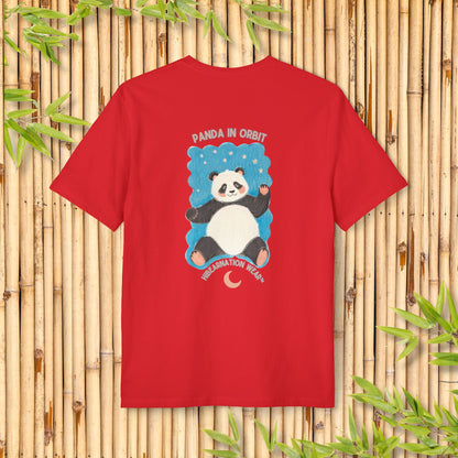 Panda in Orbit I