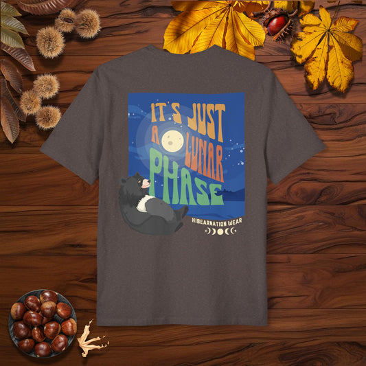 It's Just a Lunar Phase I
