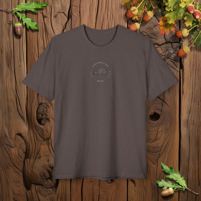 Framed Autumn Black Bear I