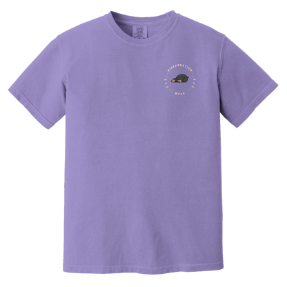 Sun Bear Heavyweight Medium Shades Garment-Dyed T-Shirt